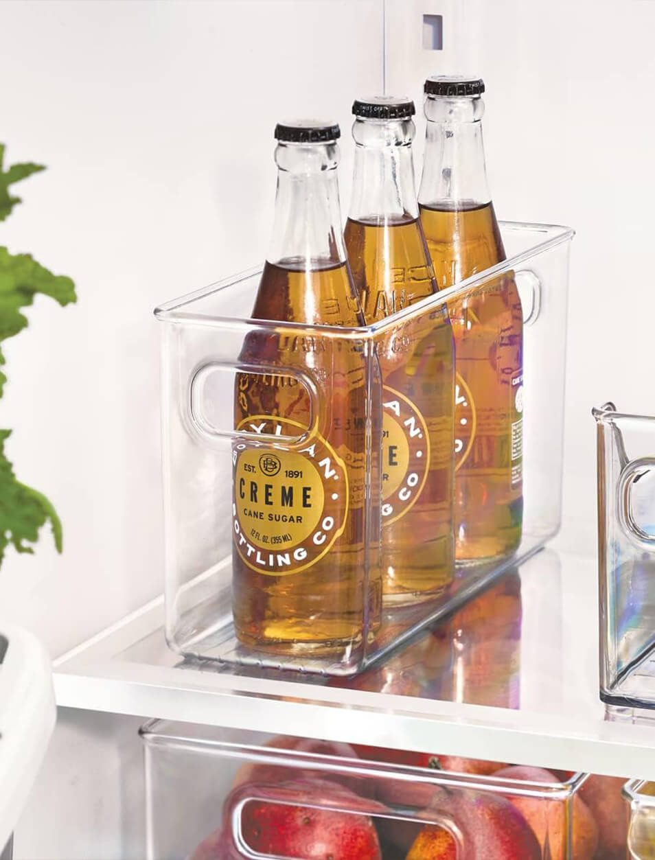 organizadores ambitec refrigeradoras